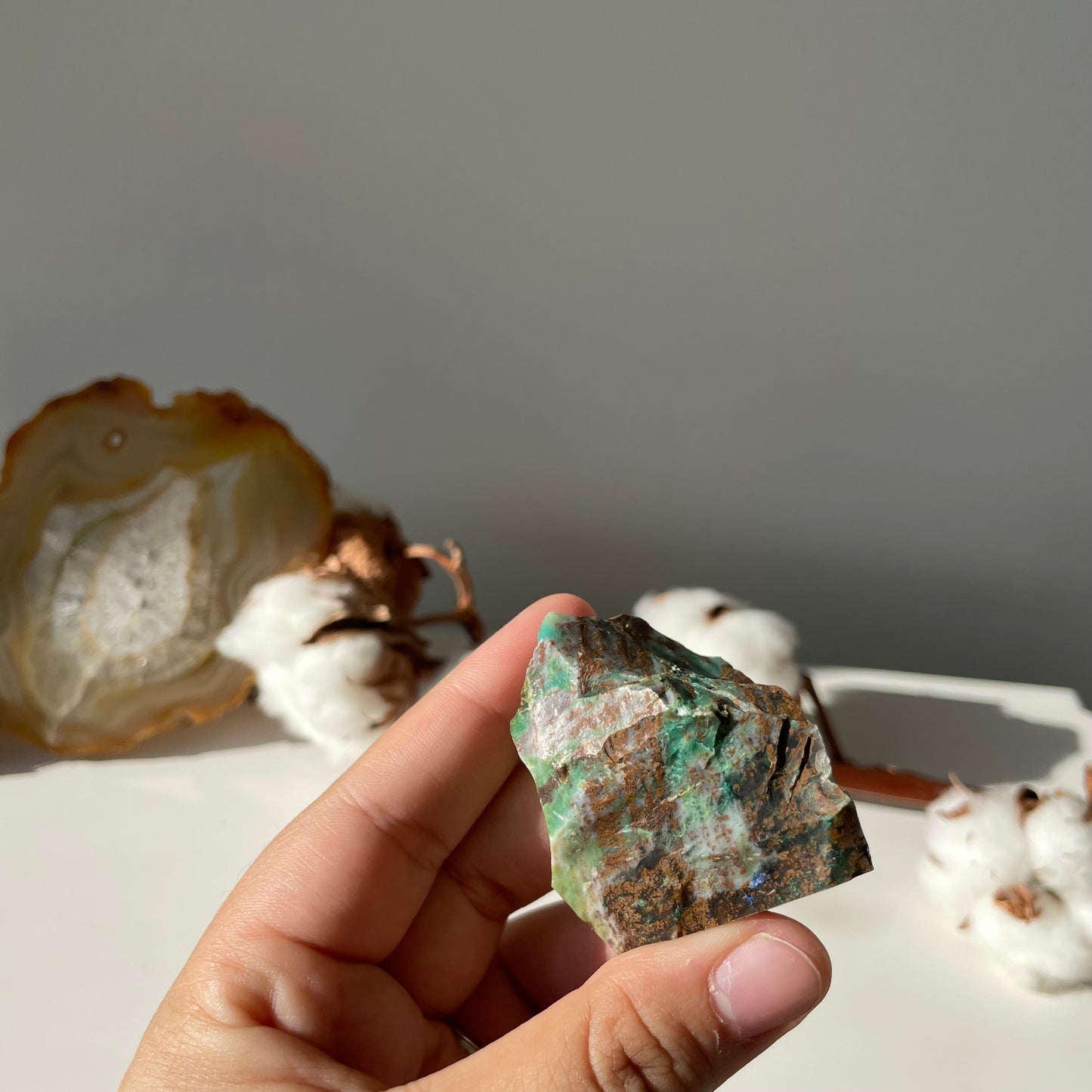 Versteend hout op Chrysocolla #1