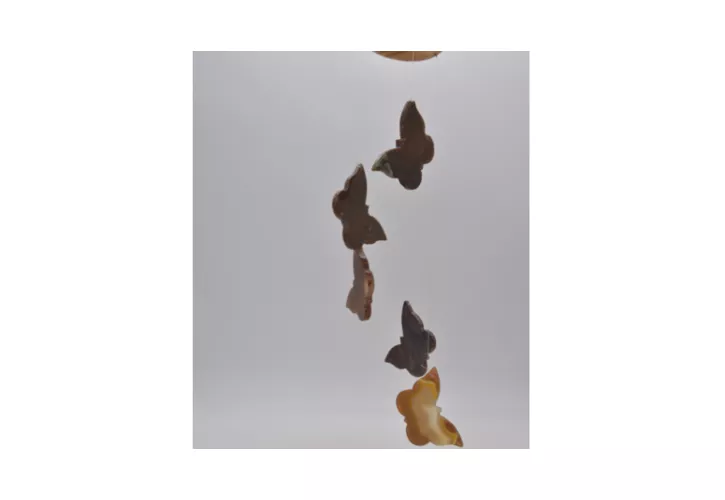 PRE ORDER | Agaat windhanger vlinder