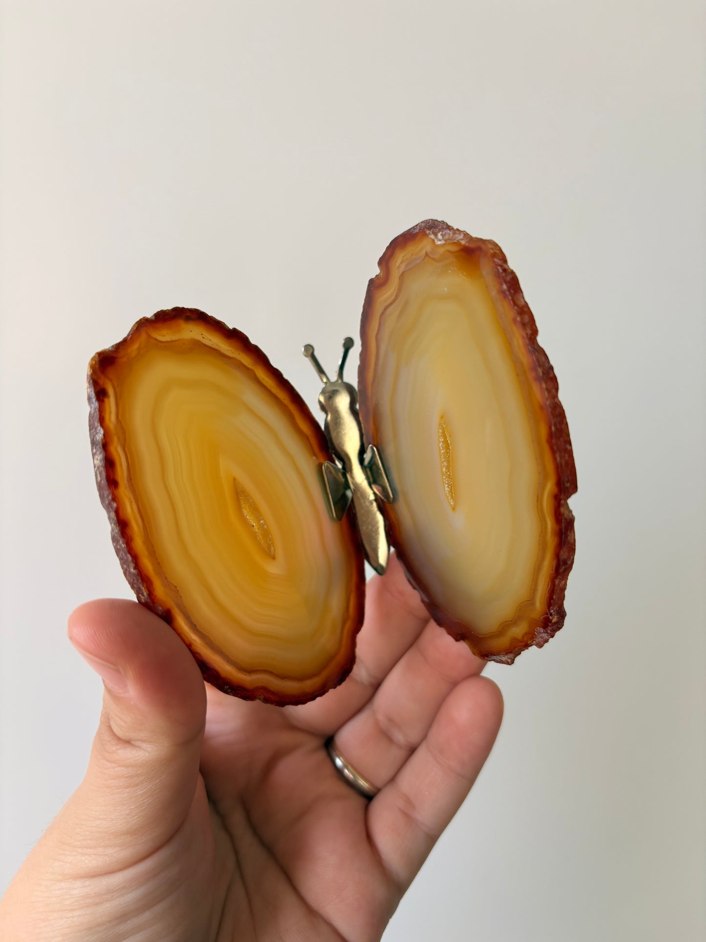 Agaat vlinder nr 1 zilver