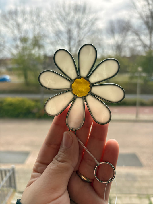 Madelief suncatcher