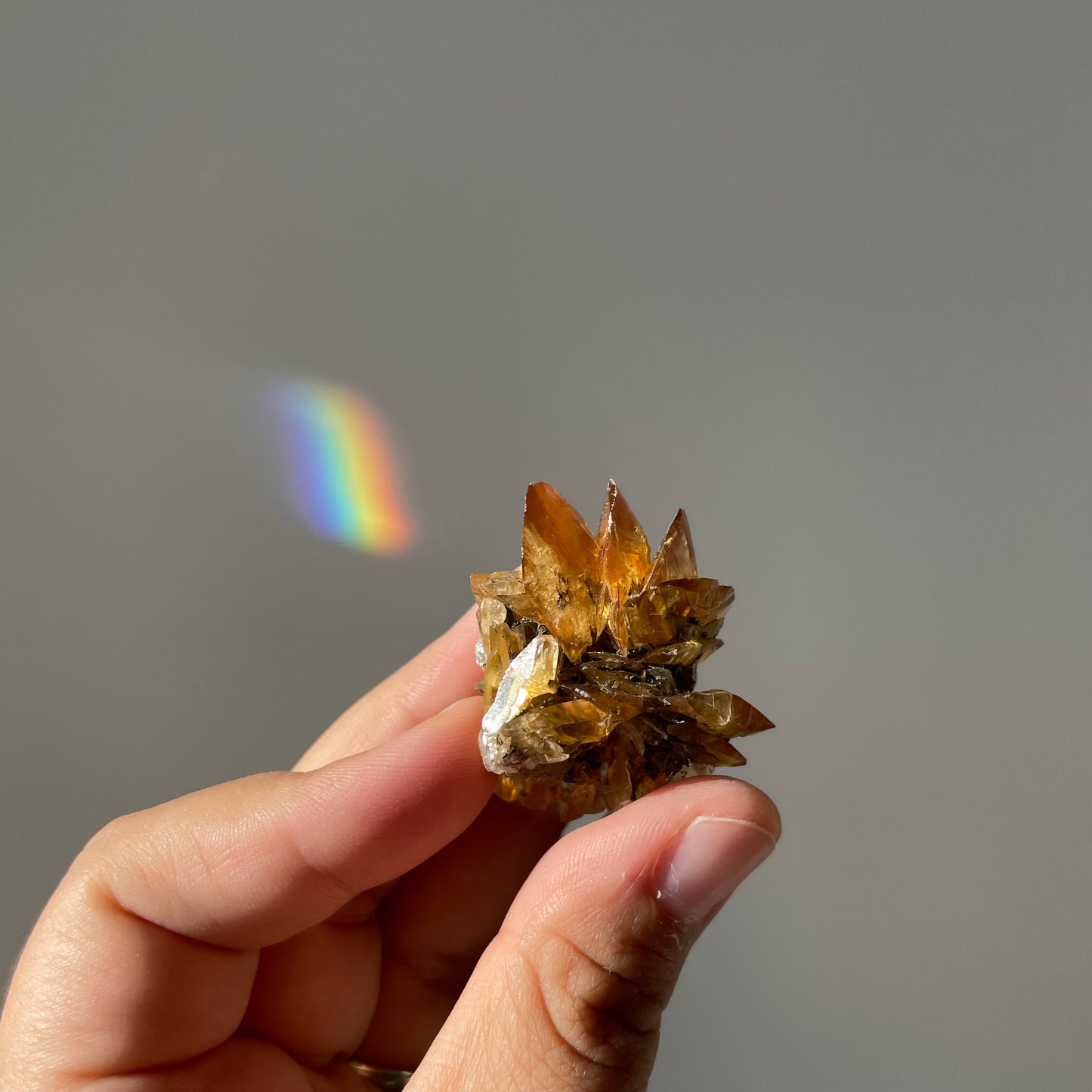 Seleniet bladeren Canada #1 (verzamelstuk)