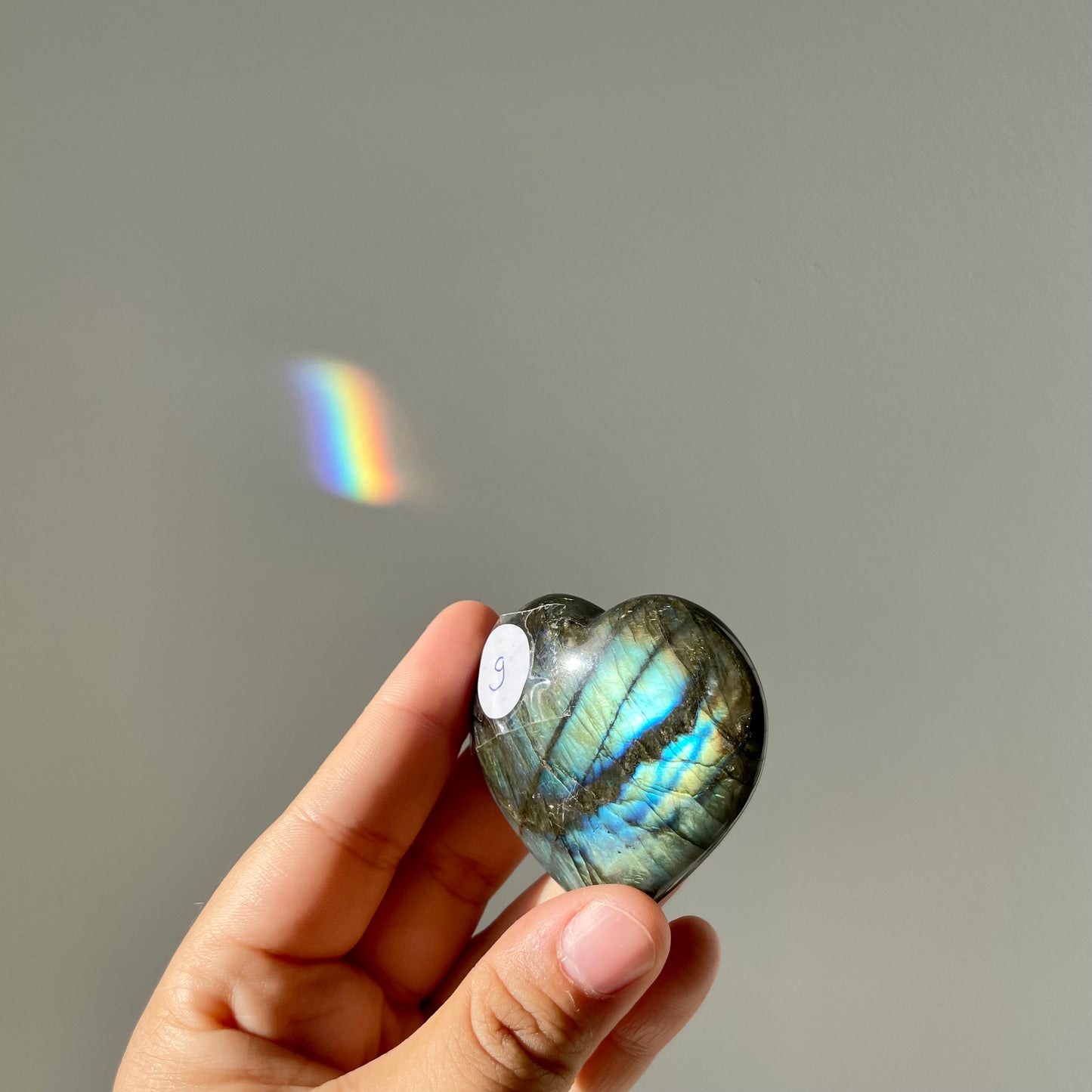 Labradoriet hart #9
