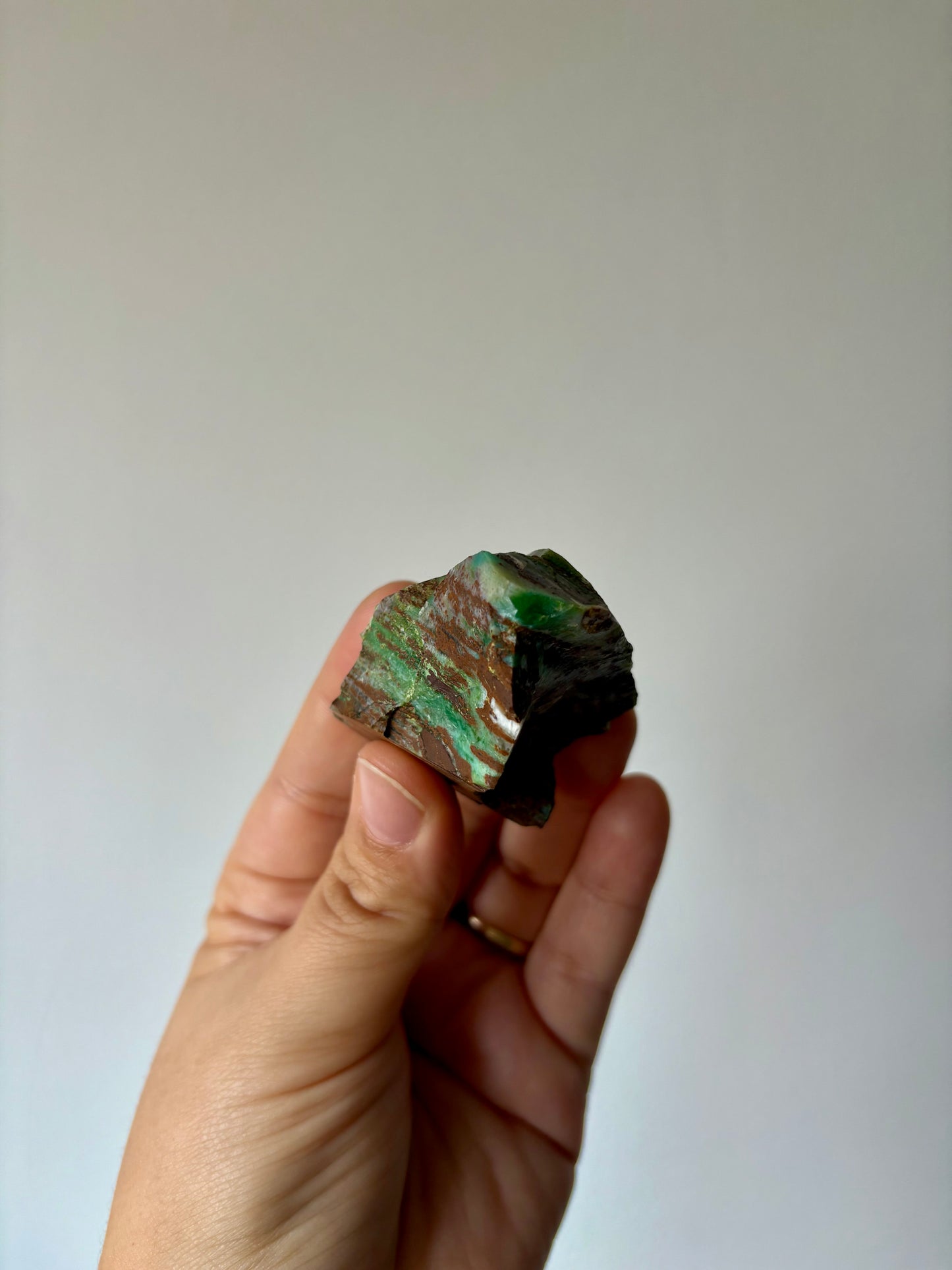 Versteend hout op Chrysocolla #2