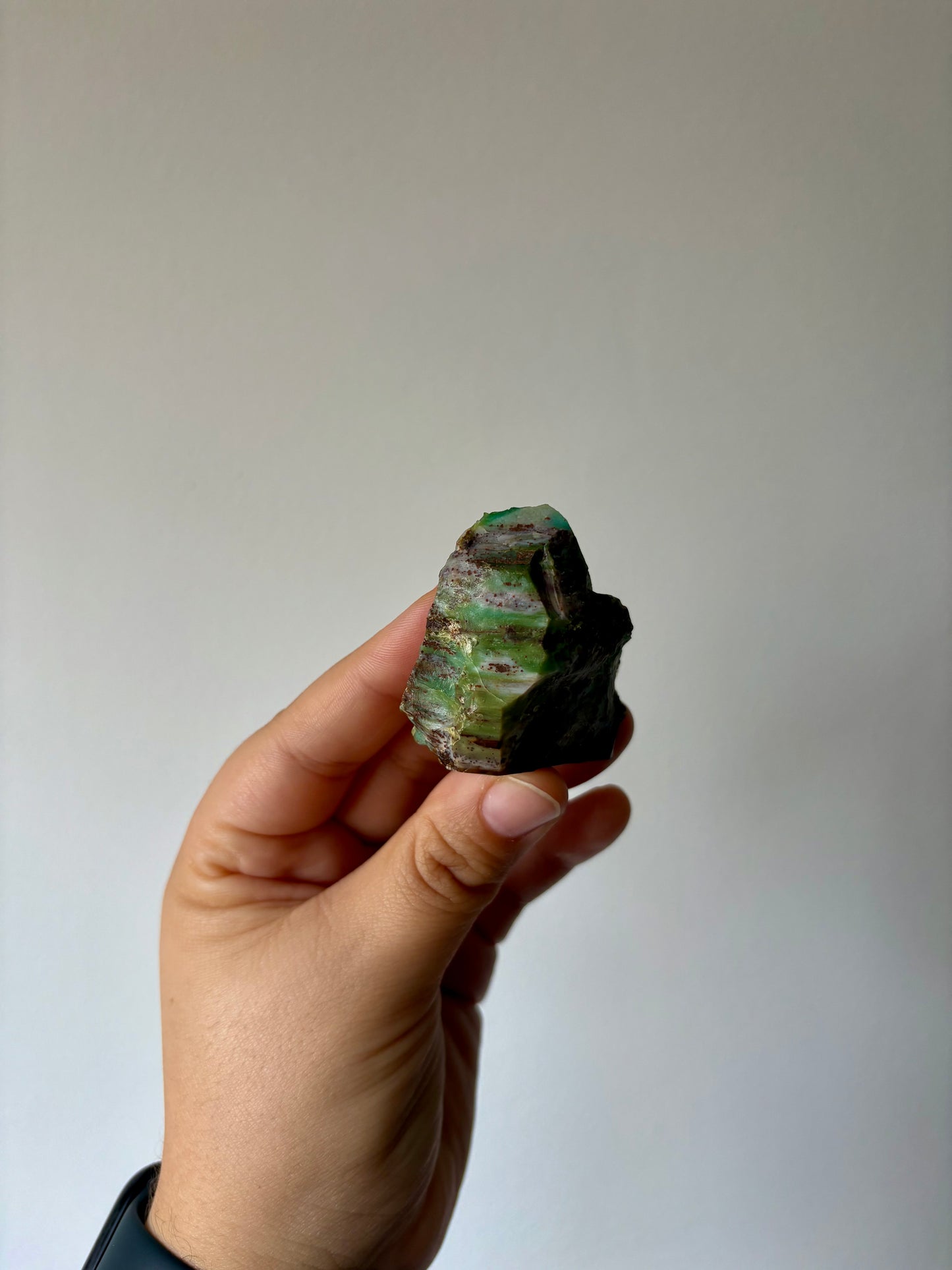 Versteend hout op Chrysocolla #2