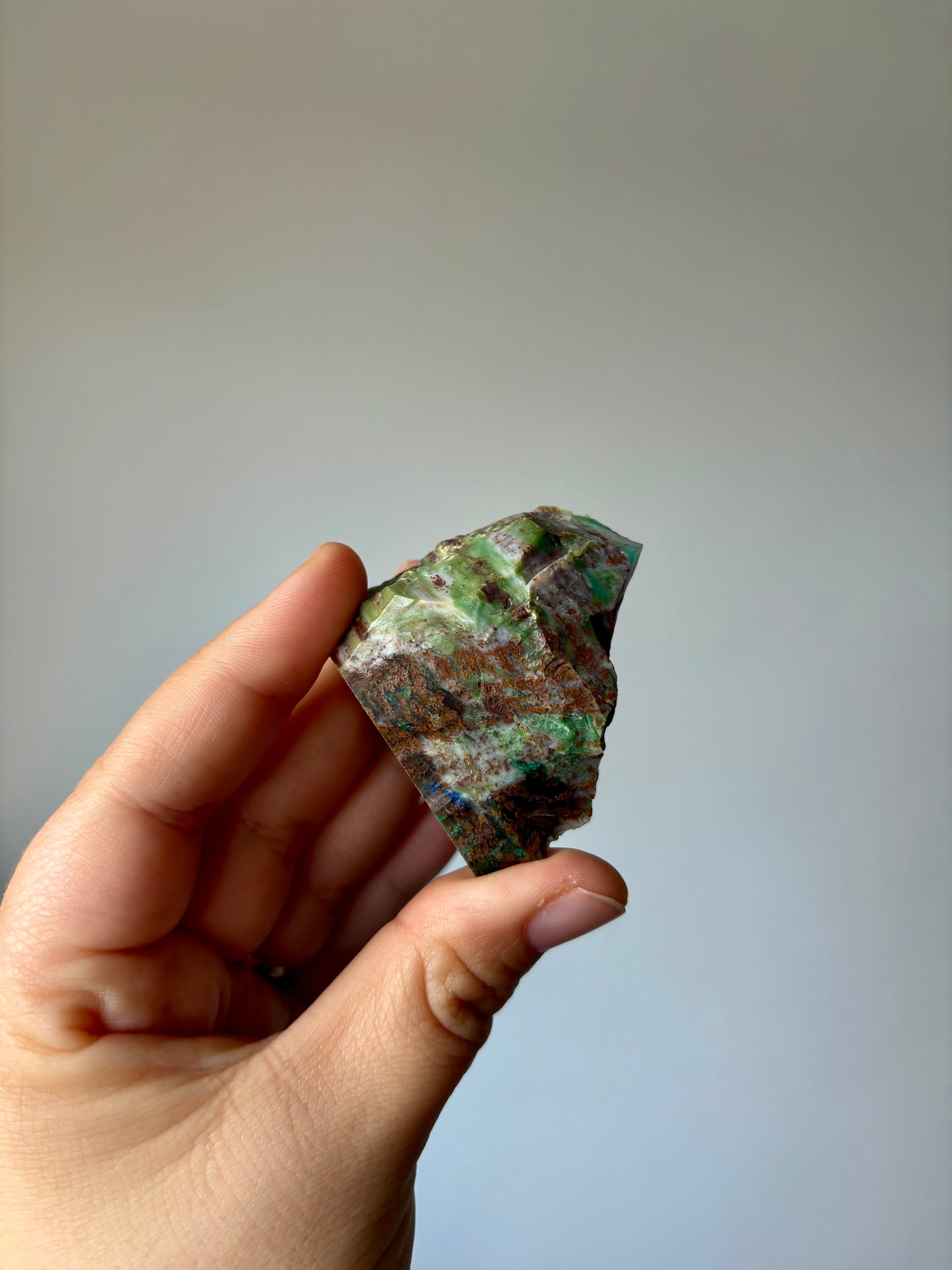 Versteend hout op Chrysocolla #2