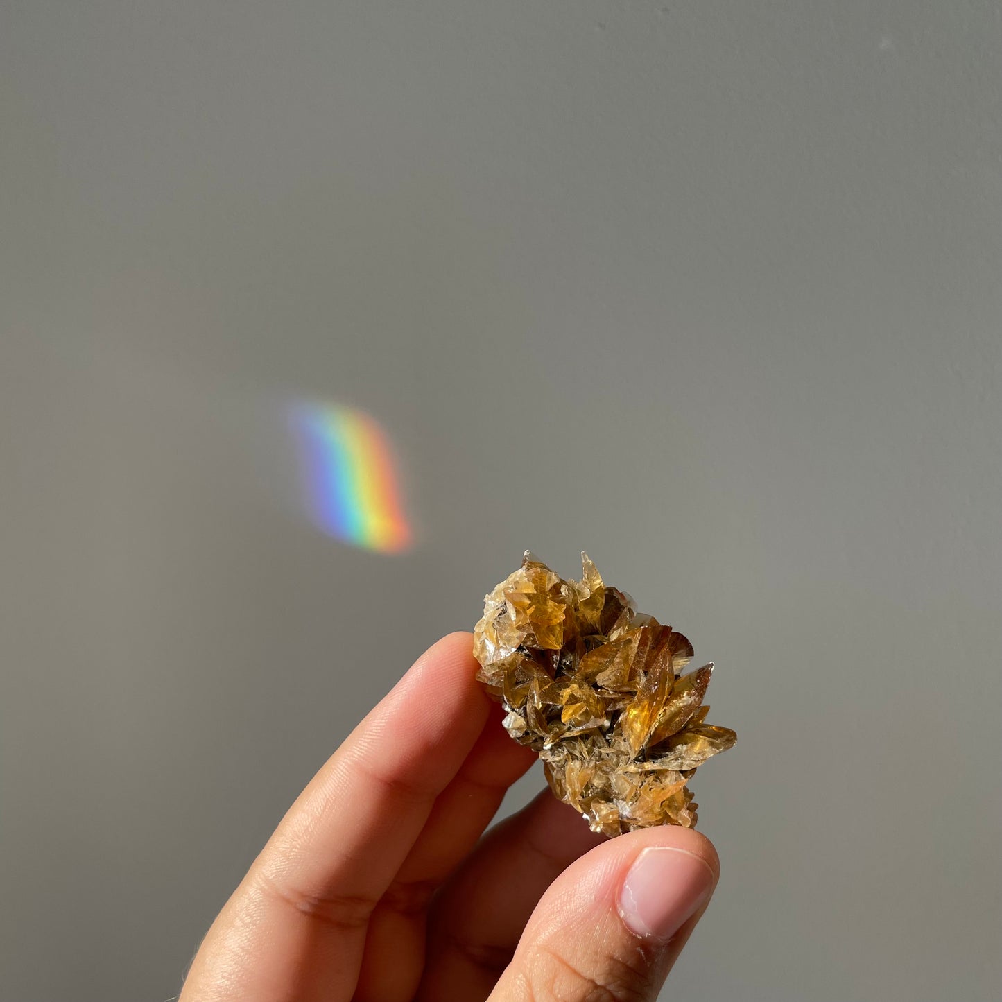 Seleniet bladeren Canada #2 (verzamelstuk)