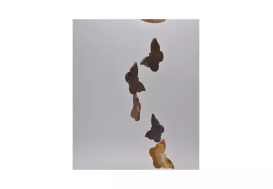 PRE ORDER | Agaat windhanger vlinder