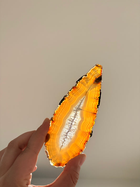 Losse Agaat schijf (met lichtjes Amethist)